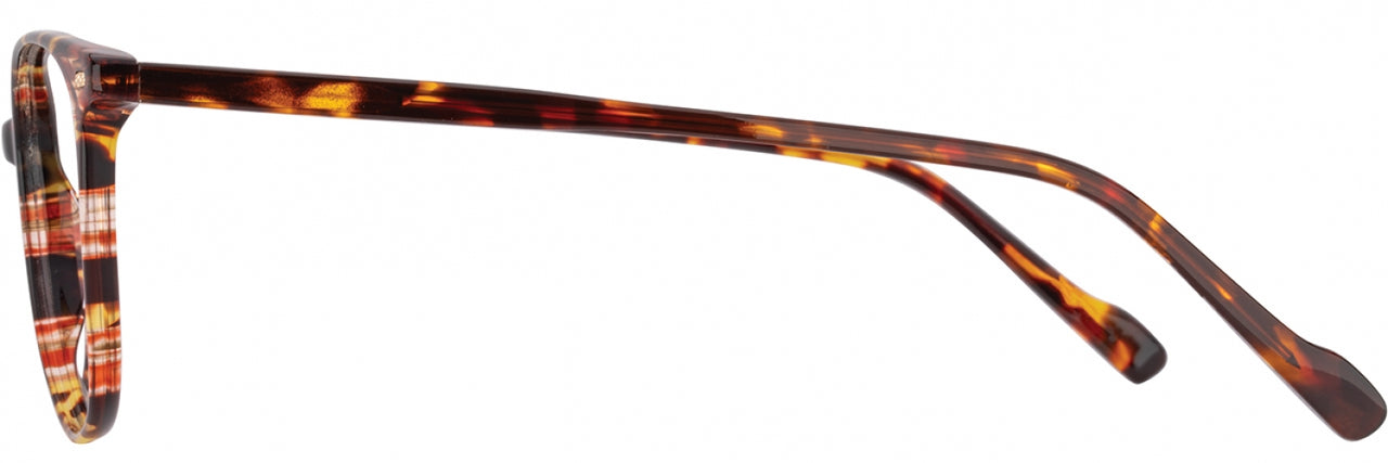 3 - Apricot / Tortoise