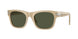 116931 - Brown - Green