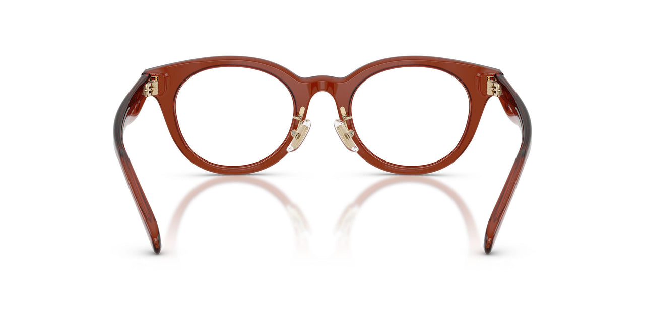 5847 - Brown