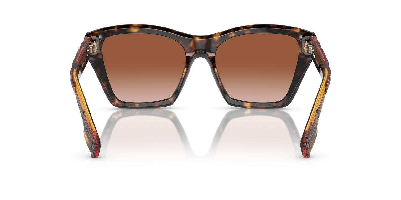 300213 - Brown - Brown Gradient