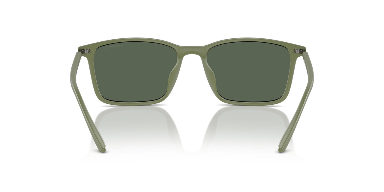 542471 - Green - Dark Green