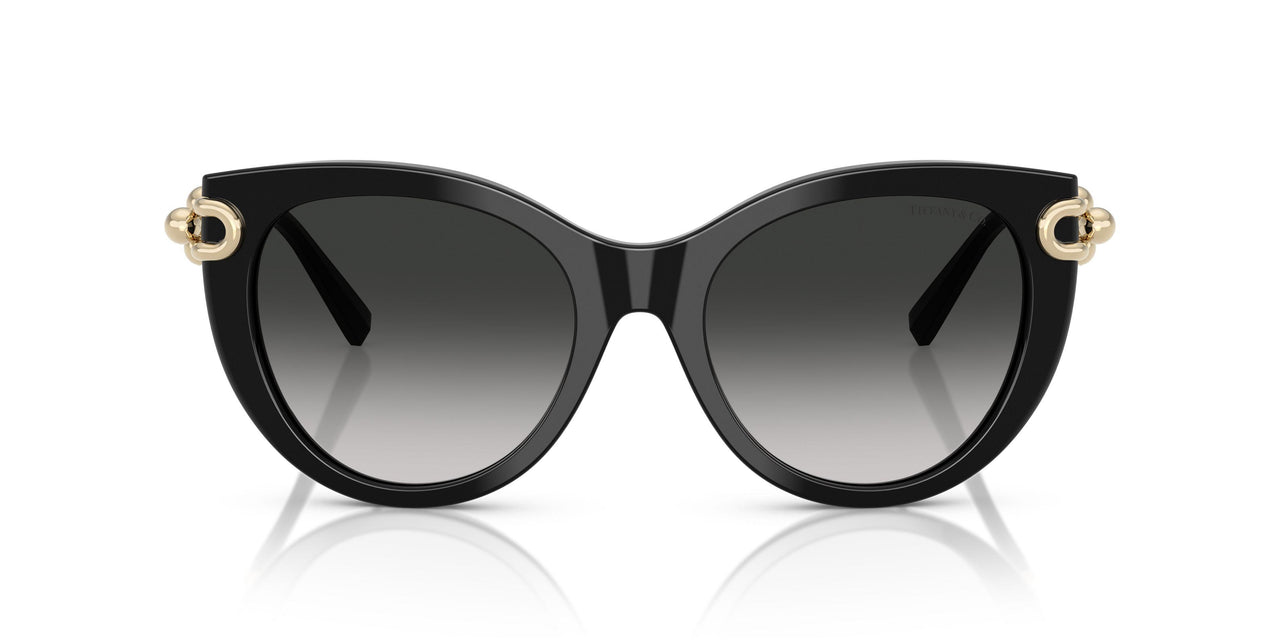 80013C - Black - Gray Gradient