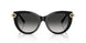 80013C - Black - Gray Gradient