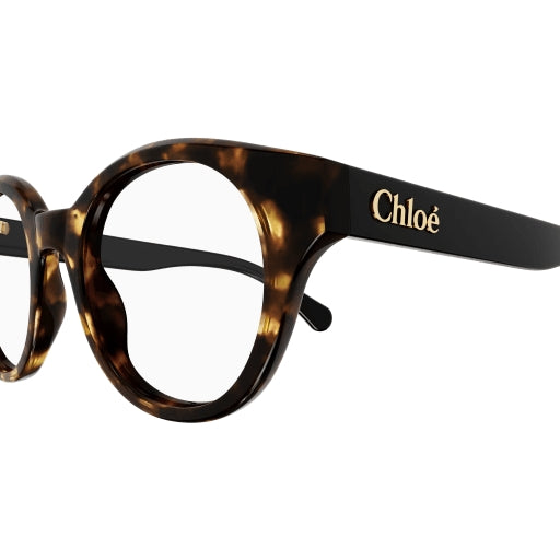 002 - Havana/Black - Transparent