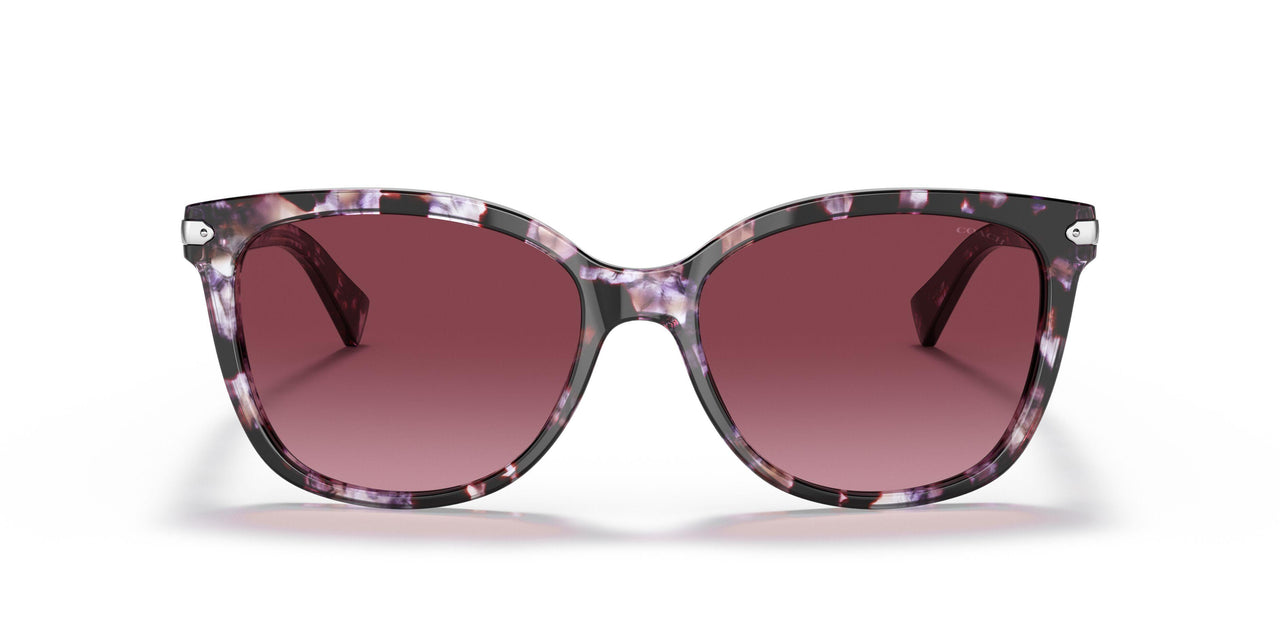 55488H - Purple/reddish - Burgundy Gradient