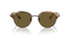 606573 - Brown - Dark Brown