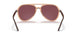 66025Q - Brown - Purple Polar