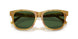 618571 - Tortoise - Bottle Green