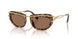 403573 - Tortoise - Dark Brown