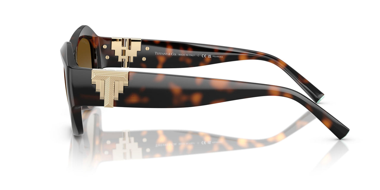 8015T5 - Tortoise - Polar Brown Gradient