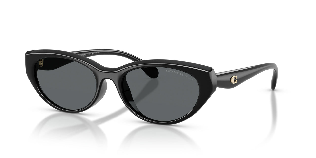 Coach Cdp42 8456D Sunglasses