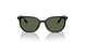 100/71 - Black - Dark Green