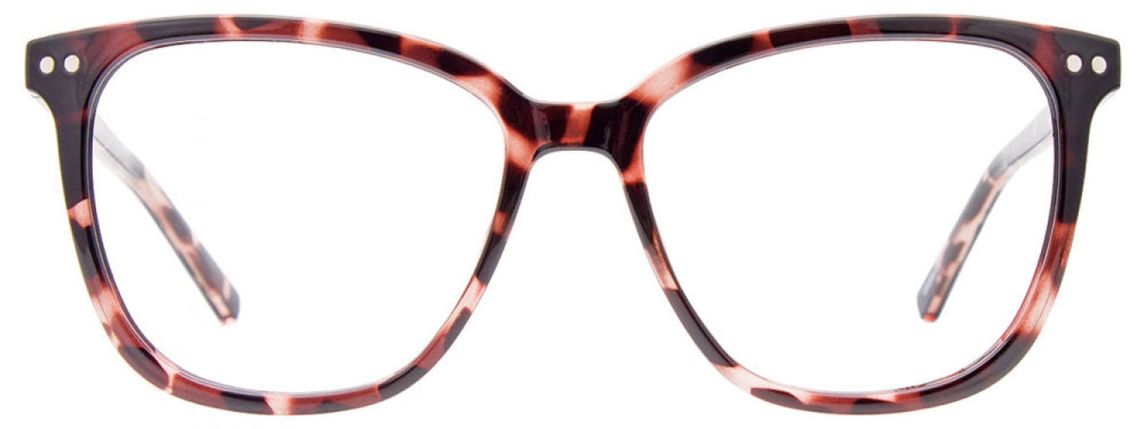 10 - Pink Tortoise
