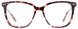 10 - Pink Tortoise