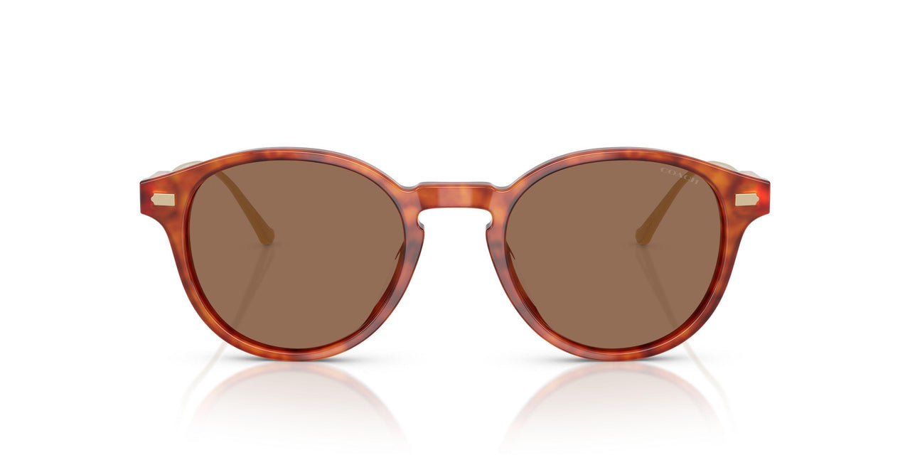 577473 - Tortoise - Brown Solid