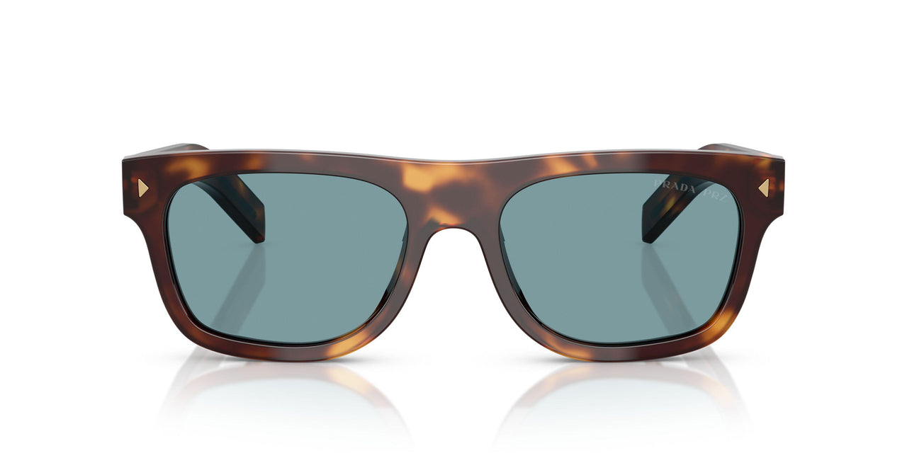 15W04D - Tortoise - Green Polar
