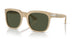 116931 - Brown - Green
