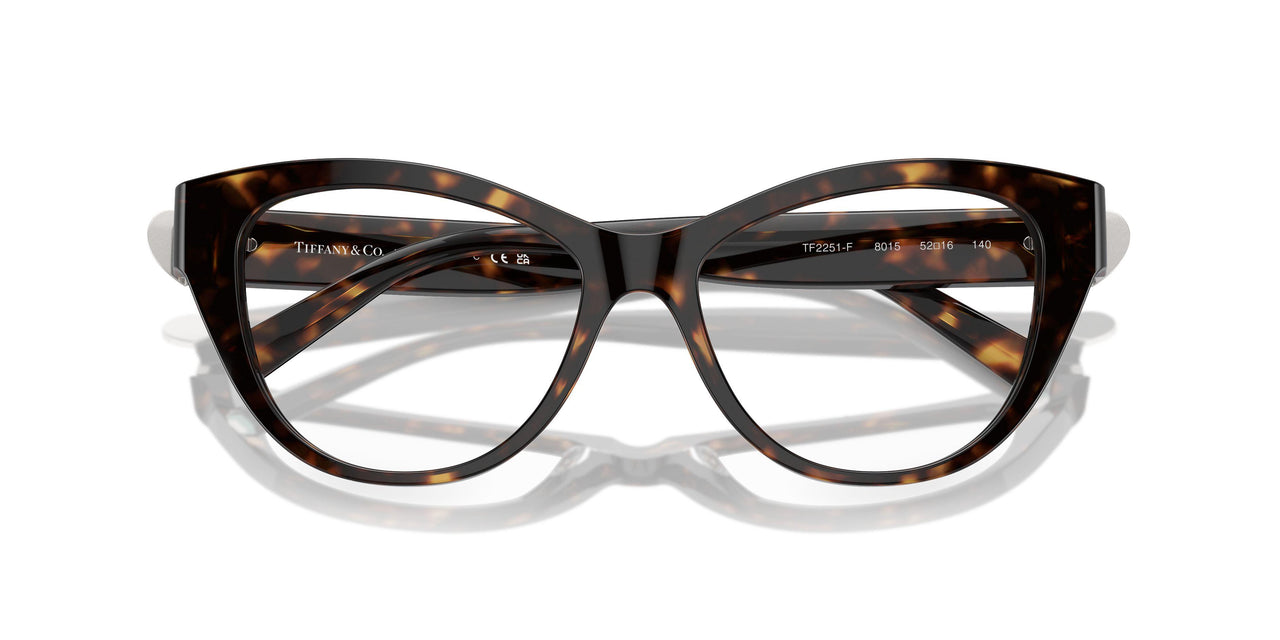 8015 - Tortoise