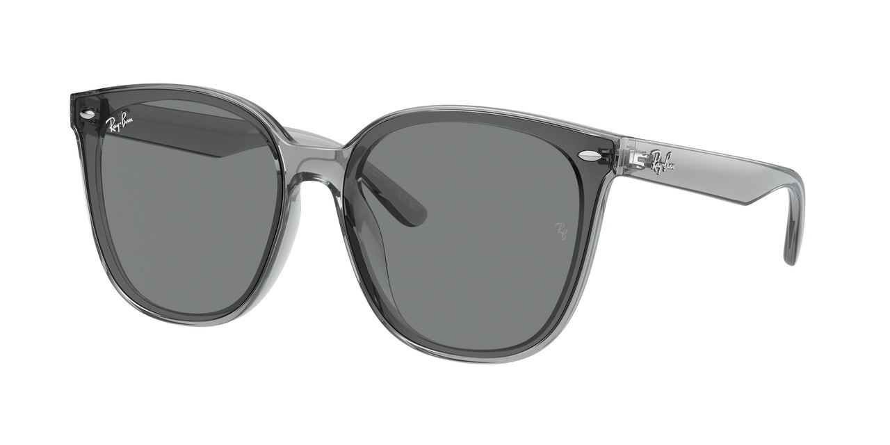 Ray-Ban 4423D Sunglasses