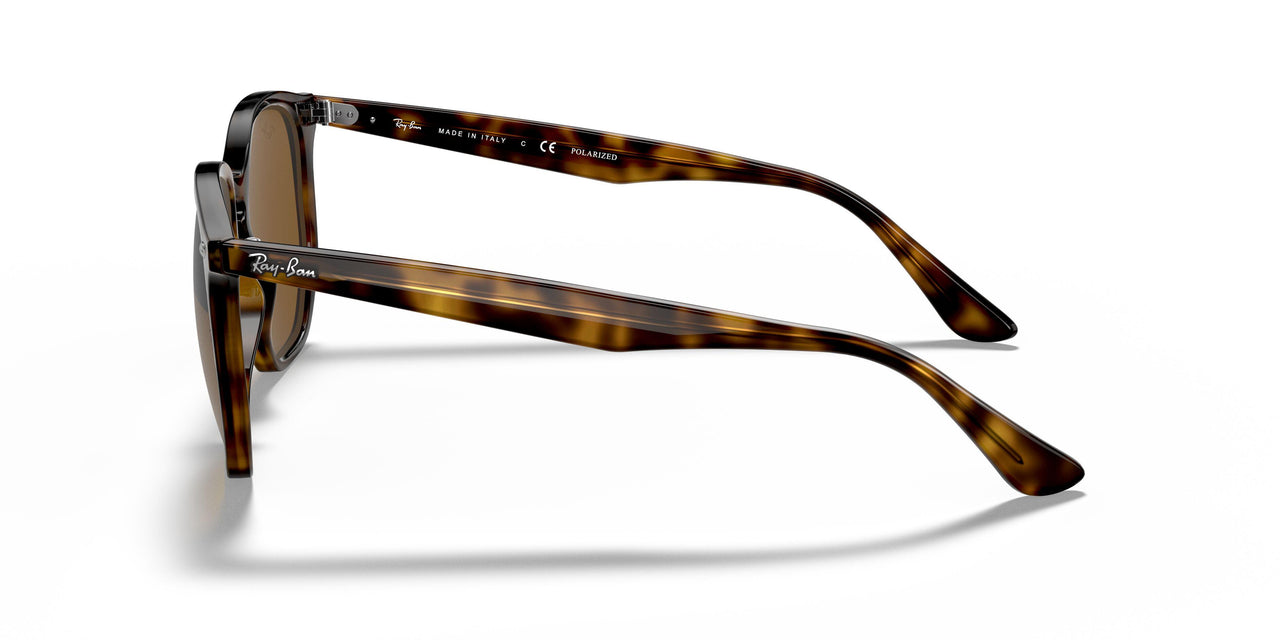 710/83 - Havana - Polar Brown