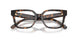 1964 - Tortoise