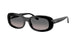 Ray-Ban 2221F Sunglasses