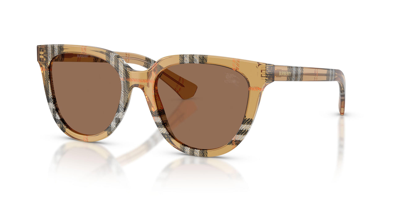 416373 - Brown - Dark Brown