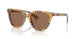416373 - Brown - Dark Brown