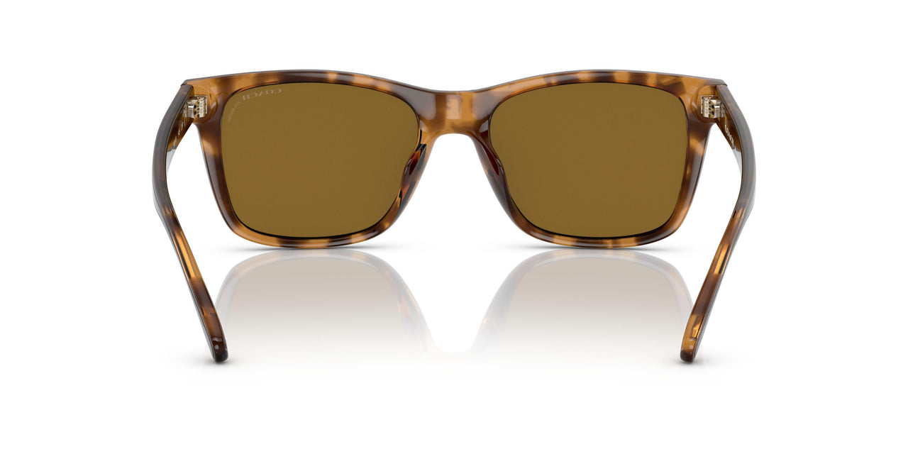 512083 - Havana - Dark Brown Polar