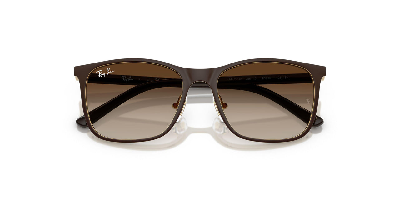 297/13 - Brown - Gradient Brown