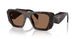 17N06B - Tortoise - Dark Brown