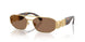 100273 - Gold - Dark Brown