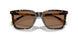 500373 - Tortoise - Dark Brown