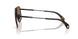 100173 - Black - Solid Brown
