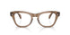 8198 - Light Brown