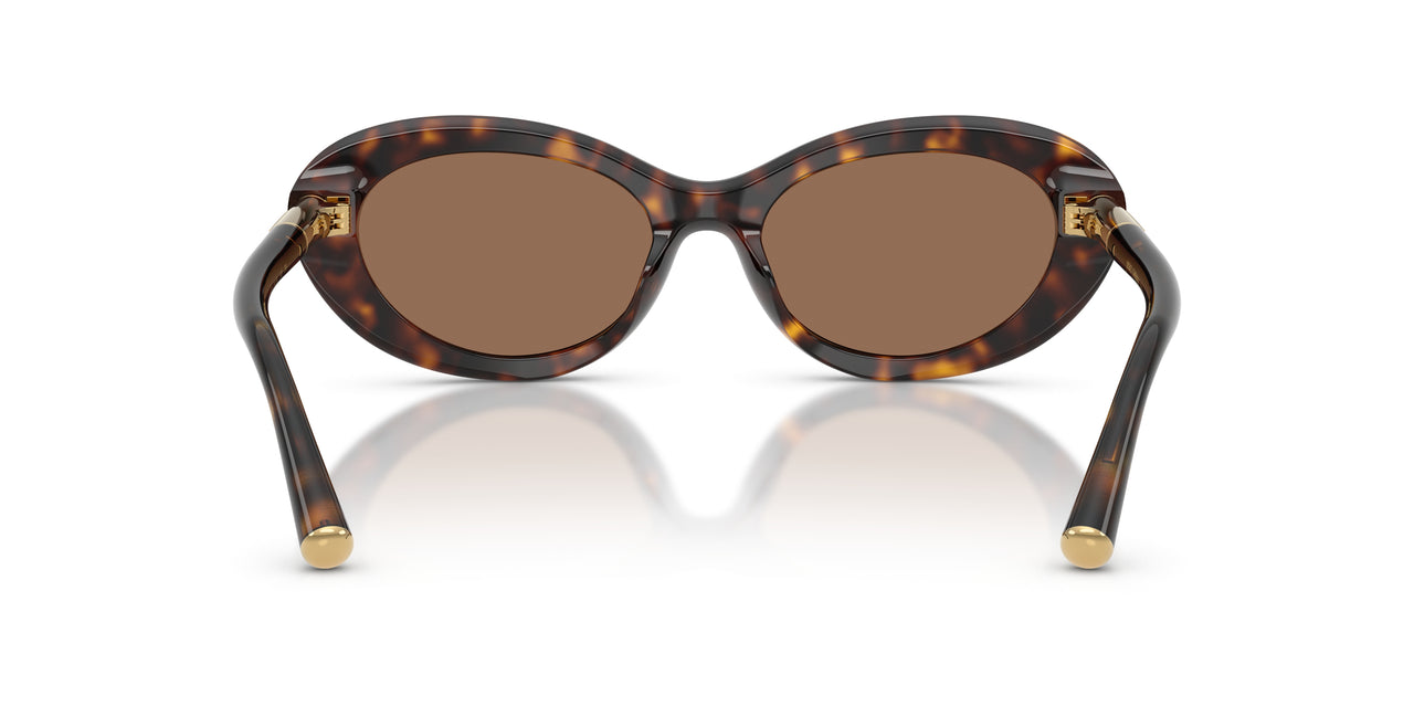 502/73 - Tortoise - Dark Brown