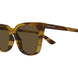 003 - Havana - Brown