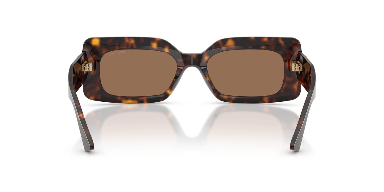 500273 - Tortoise - Dark Brown