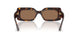 500273 - Tortoise - Dark Brown