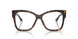 5002 - Tortoise