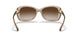 299013 - Light Brown - Brown Gradient