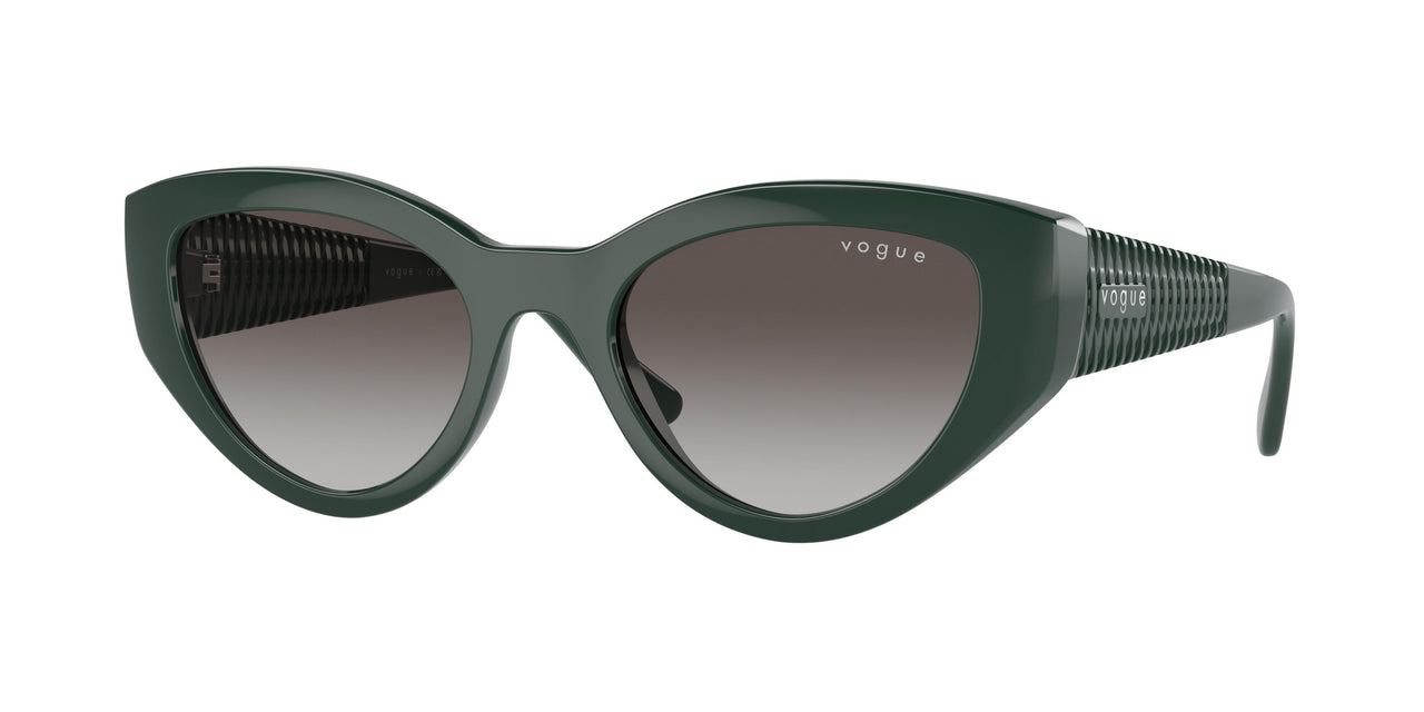 Vogue Eyewear 5566S Sunglasses