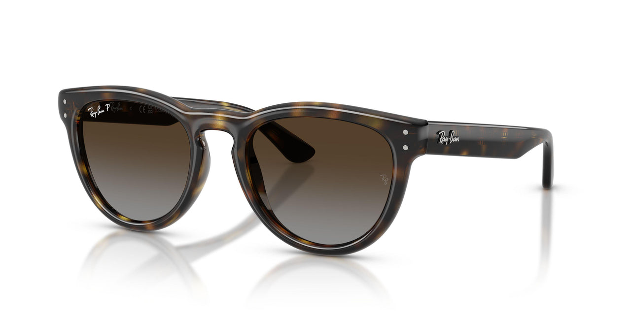710/T5 - Tortoise - Polarized Light Grey Gradient Brown