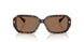 500373 - Tortoise - Brown