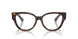 3002 - Brown