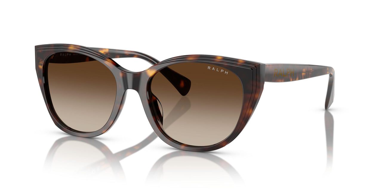 500313 - Tortoise - Gradient Brown