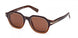 ZEGNA 0250 Sunglasses