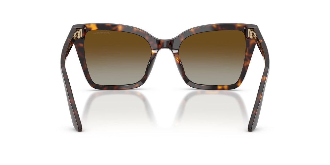 5026T5 - Tortoise - Brown Gradient Polarized