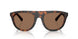353673 - Tortoise - Dark Brown