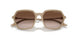 834213 - Brown - Gradient Brown